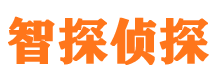 莱城市私家侦探